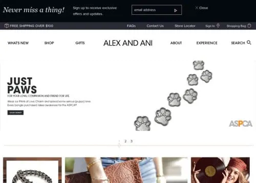Alex and Ani
