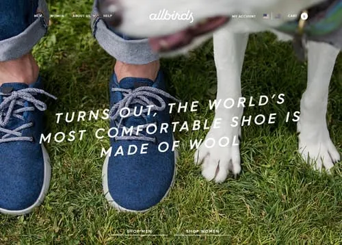Allbirds