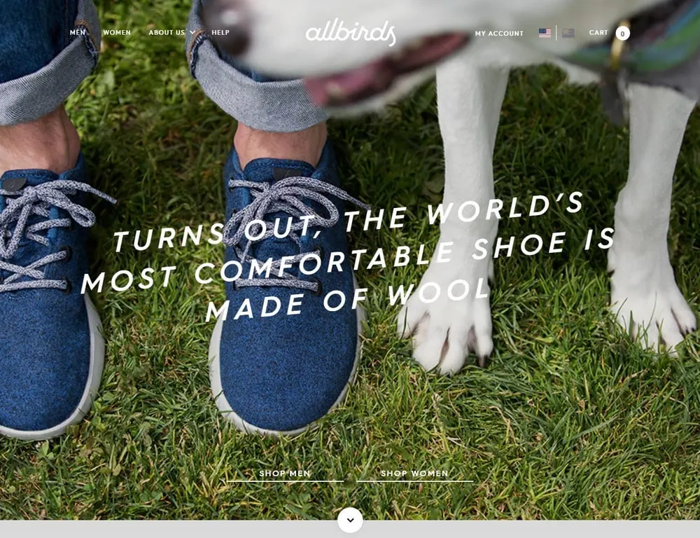 Allbirds