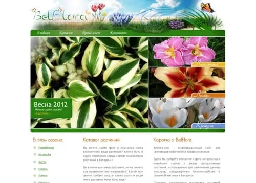 Belflora
