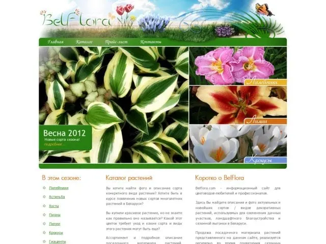 Belflora